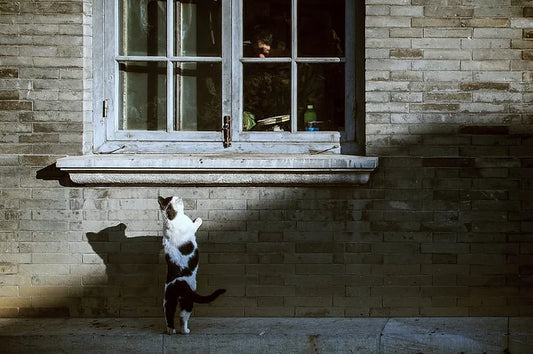 Meddlesome, Then Meddle Some More: Uncovering the Built-in Benefits of Messing with Stuff.
